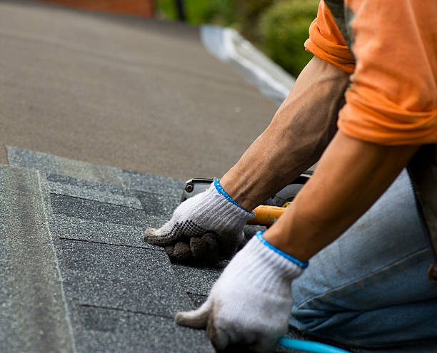 Best Storm Damage Roof Repair  in Pinecrest, FL